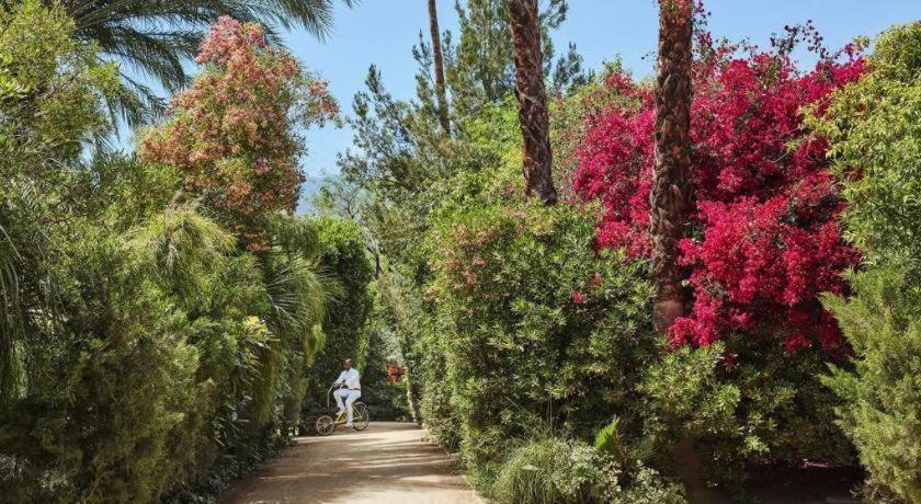 Hotel Parker Palm Springs Extérieur photo